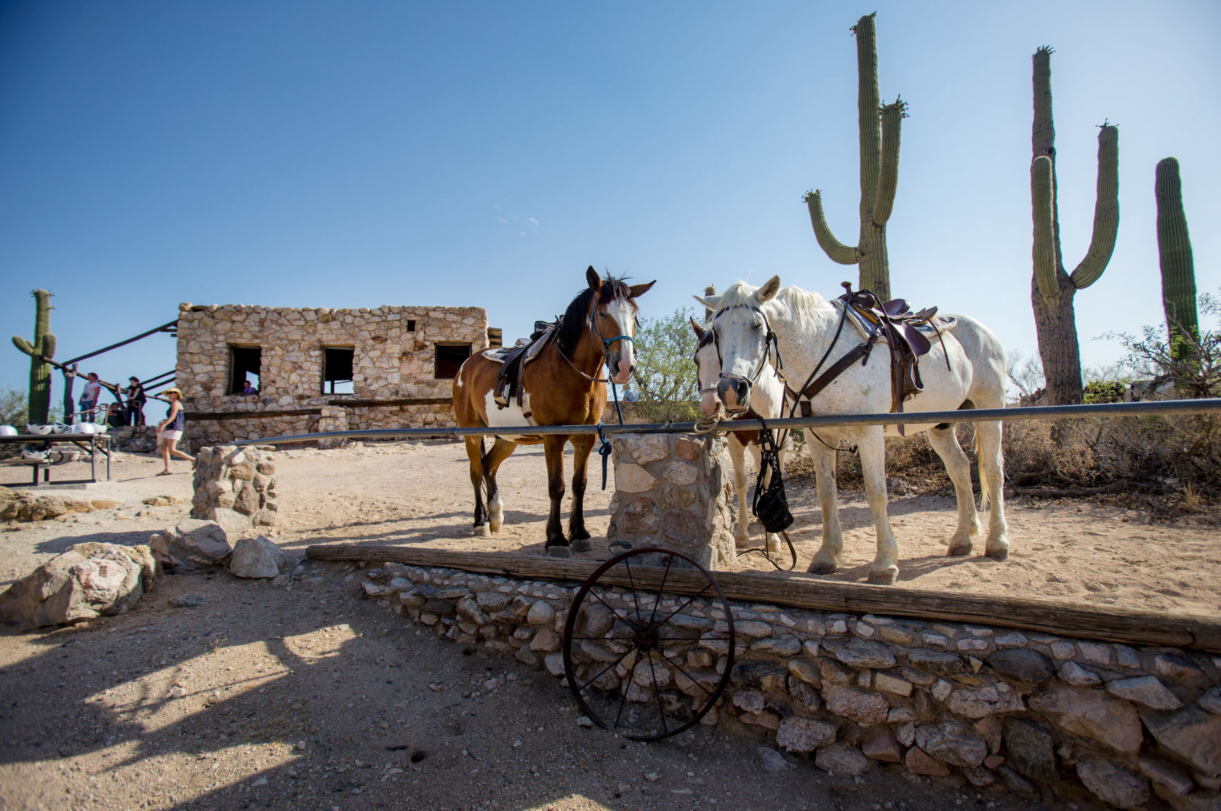 Tanque Verde Ranch